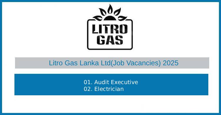 Litro Gas – Audit Executive and Electrician Vacancies 2025