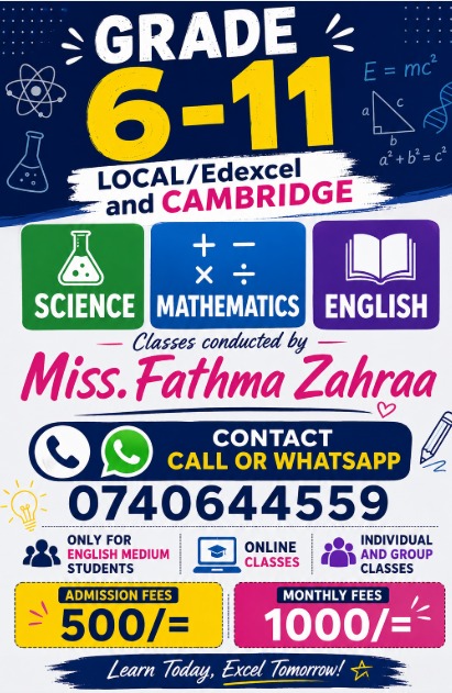 Grade 6-11 Online Classes English, Science & Mathematics 