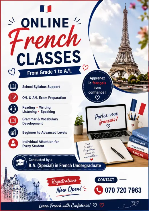 Online French Classes 